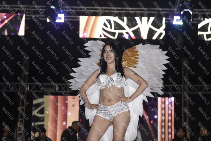 Foto 245