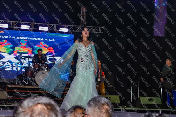 Foto 345