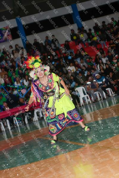 Foto 6209