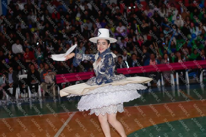 Foto 6231
