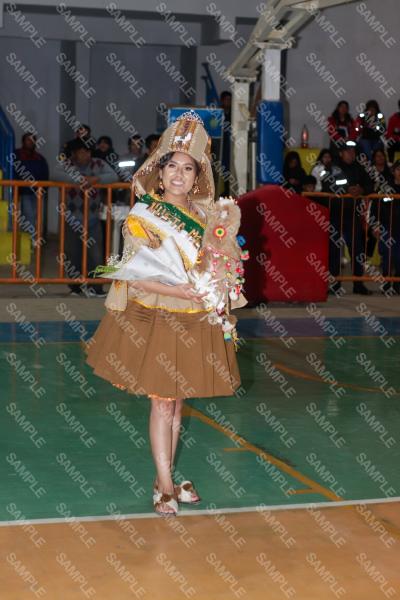 Foto 6257