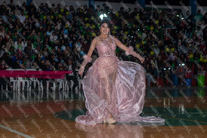 Foto 6118
