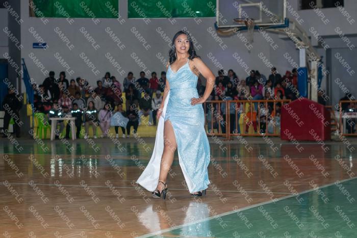 Foto 6142