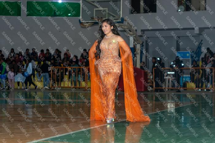Foto 6146