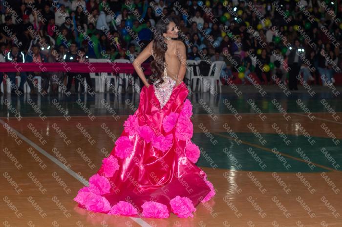 Foto 6163