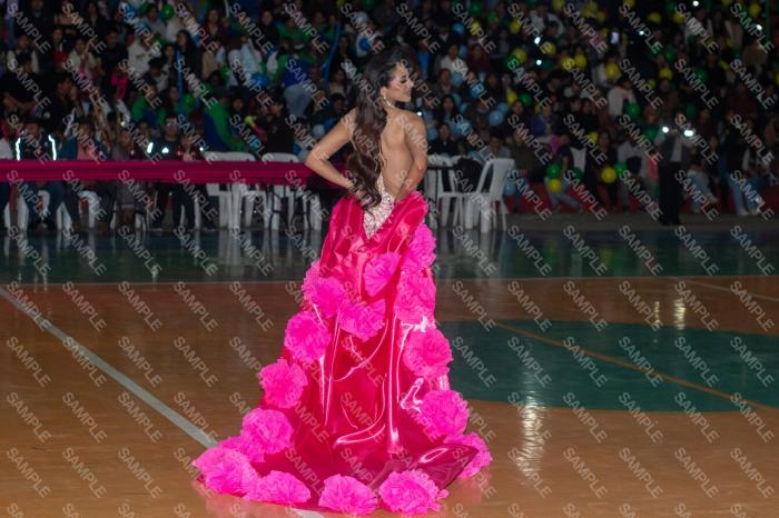 Foto 6164