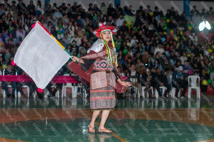 Foto 6295
