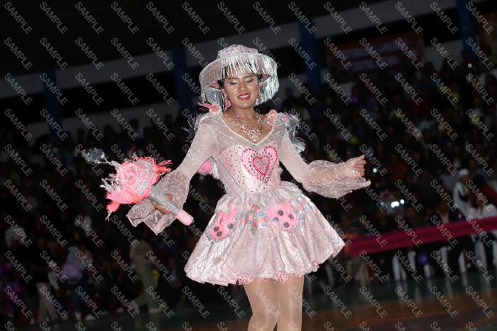Foto 6312