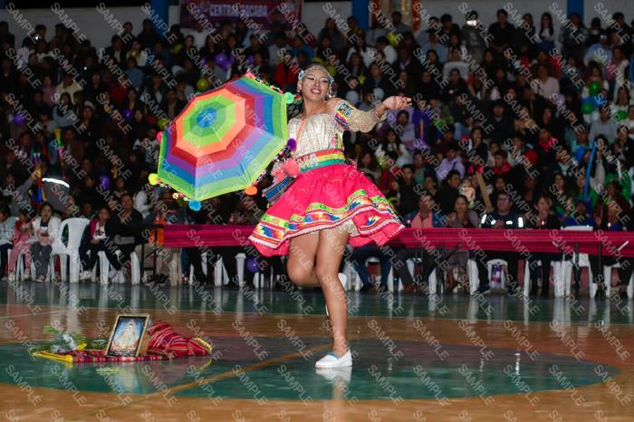 Foto 6317