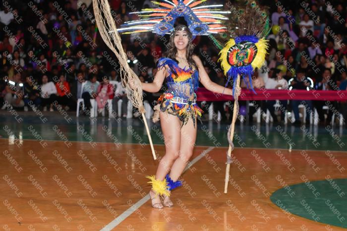 Foto 6333