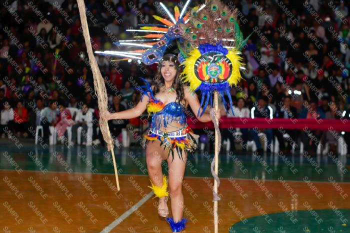 Foto 6335