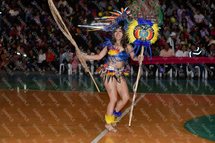 Foto 6336