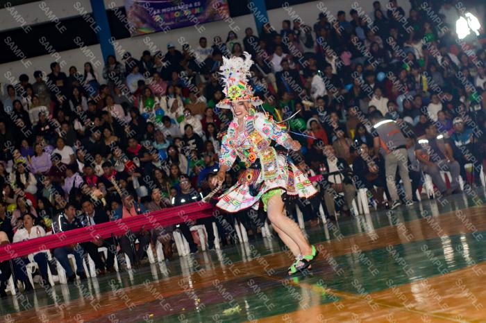 Foto 6341