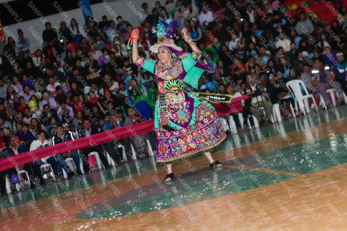Foto 6427