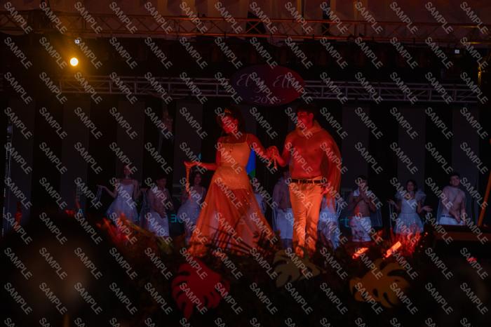 Foto 3134