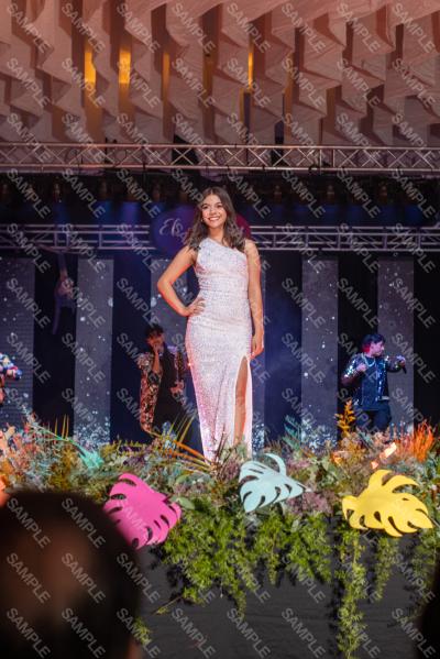 Foto 2977