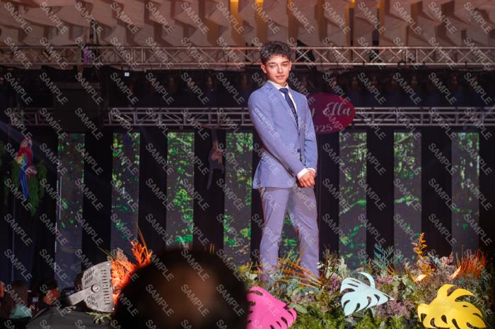 Foto 3053