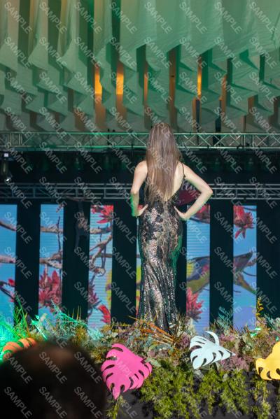Foto 3063