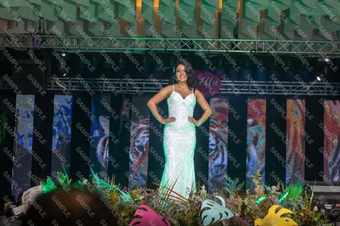 Foto 3267