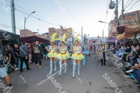 Foto 20265