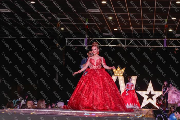 Foto 11631