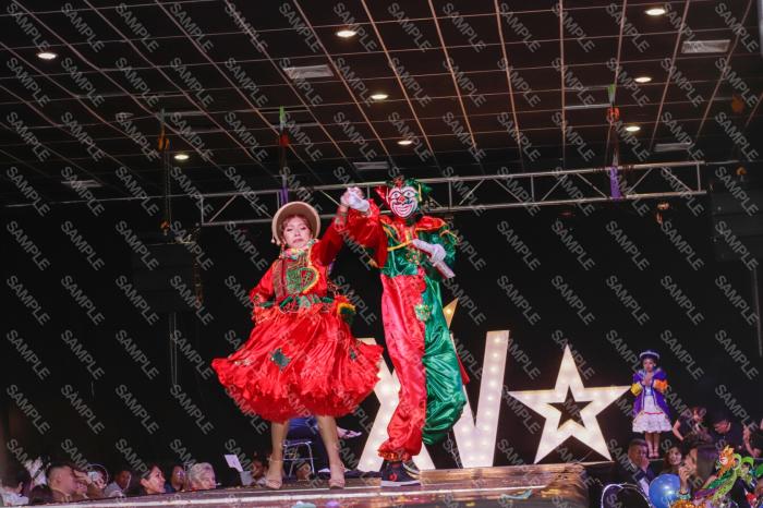 Foto 12185