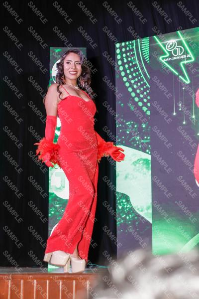 Foto 13874
